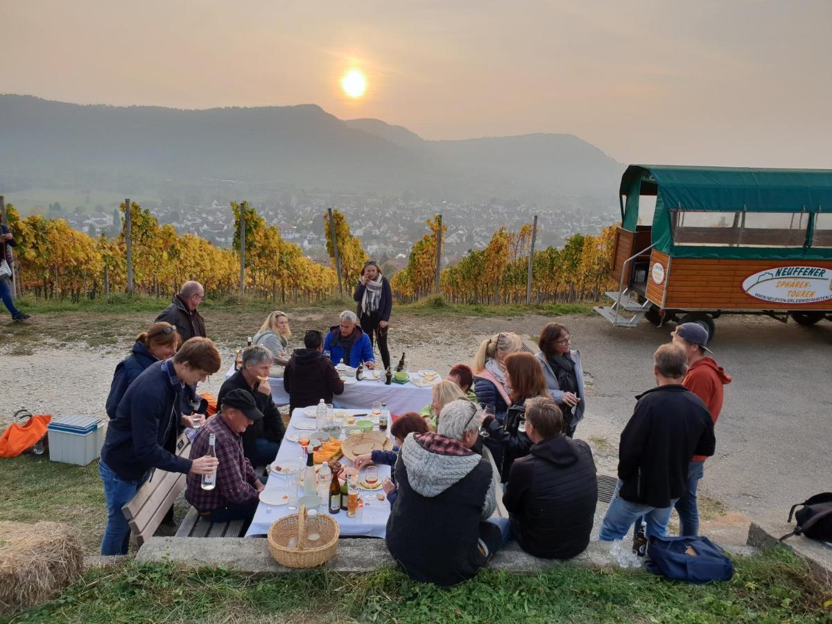 Vip 22 Mit Freisitz Terrasse, Kaminofen, Sauna Neuffen